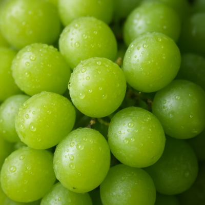 fresh & authentic indian products (4) fresh & authentic indian products (4)